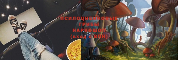 амф Вязники