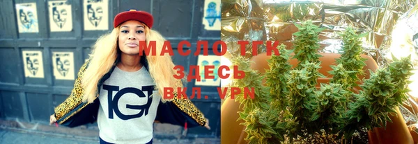 твердый Туринск