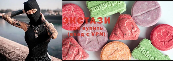 твердый Туринск
