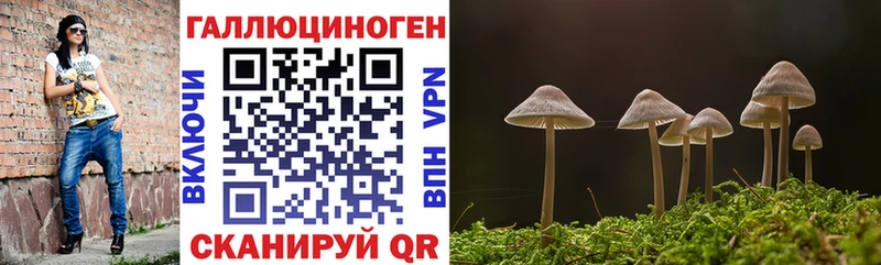 Псилоцибиновые грибы прущие грибы  Лобня 